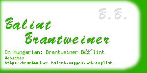 balint brantweiner business card